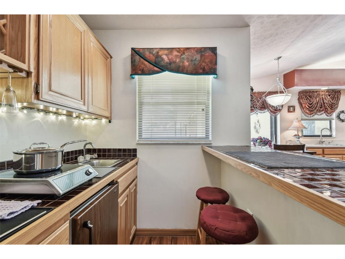 2914 Timber Knoll Drive Valrico FL 33596 TB8377329 image20