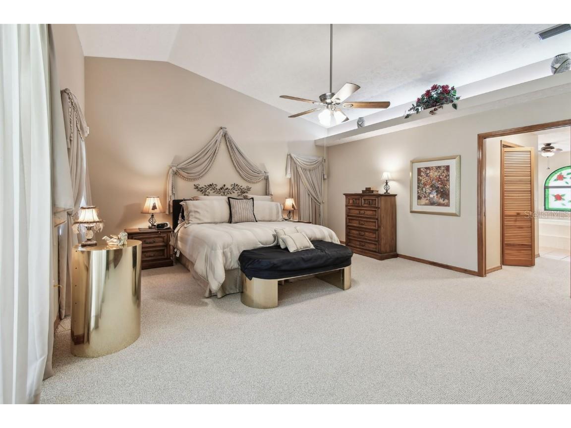 2914 Timber Knoll Drive Valrico FL 33596 TB8377329 image23