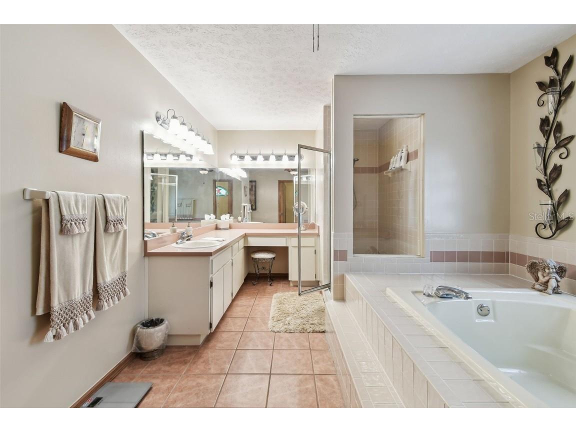 2914 Timber Knoll Drive Valrico FL 33596 TB8377329 image27