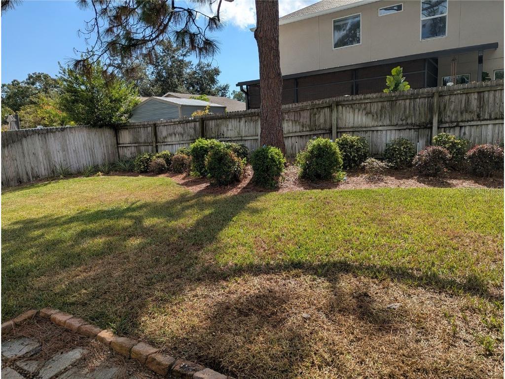 2914 Trudy Lane Tampa FL 33611 A4672461 image11