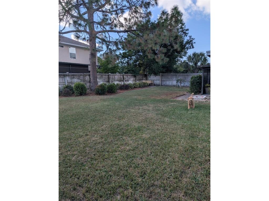 2914 Trudy Lane Tampa FL 33611 A4672461 image12