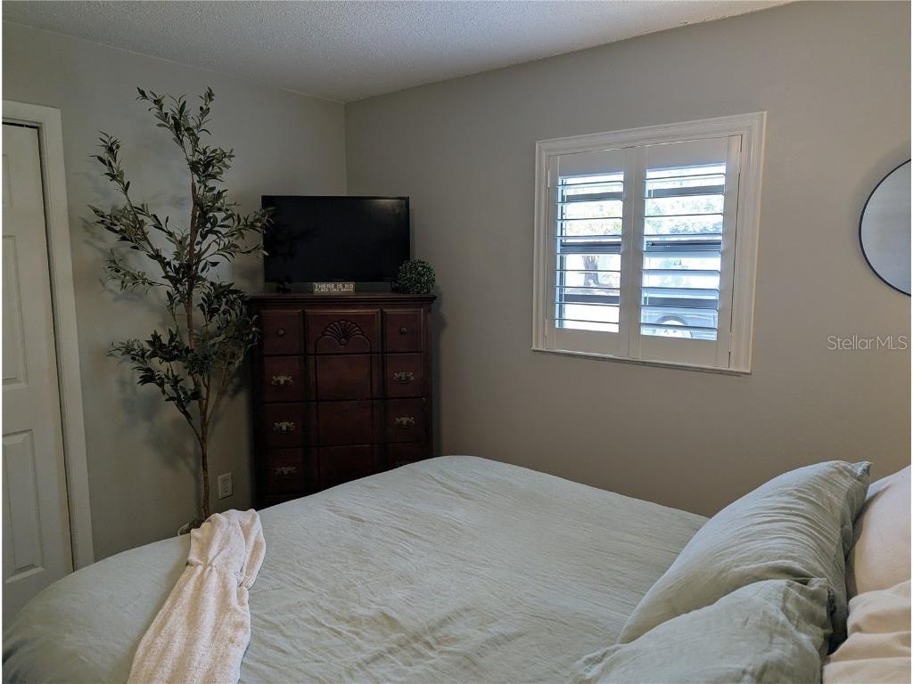 2914 Trudy Lane Tampa FL 33611 A4672461 image18