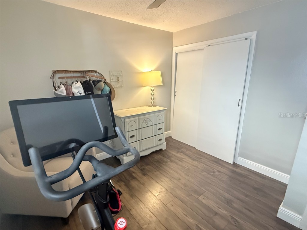 2914 Trudy Lane Tampa FL 33611 A4672461 image20