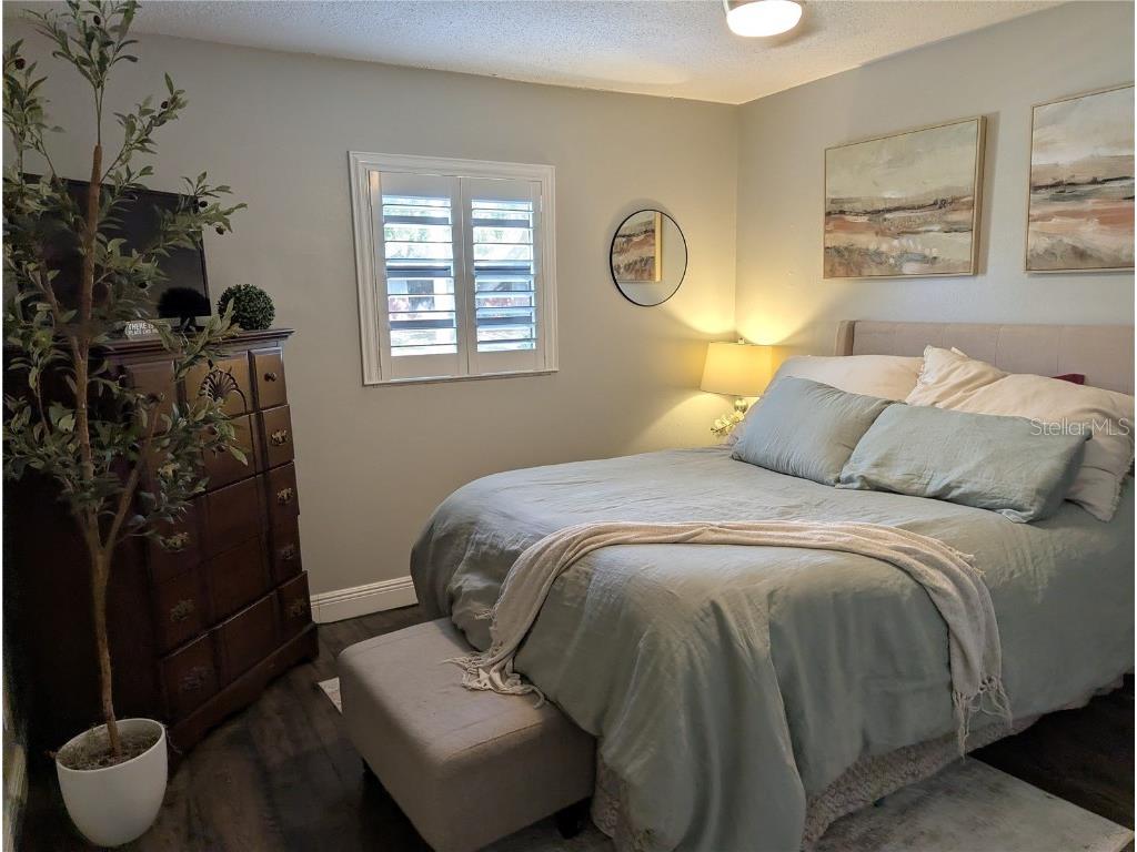 2914 Trudy Lane Tampa FL 33611 A4672461 image6