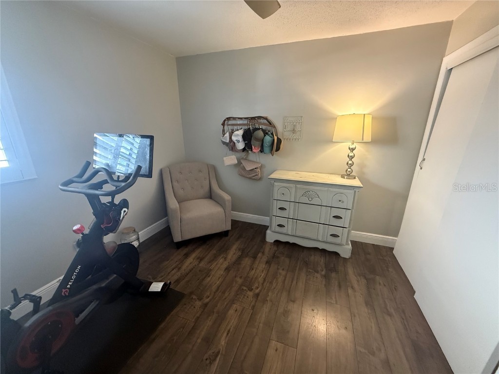 2914 Trudy Lane Tampa FL 33611 A4672461 image8