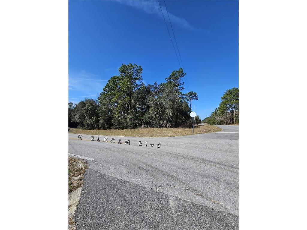 2914 W Naegelia Place Citrus Springs FL 34434 O6281027 image4