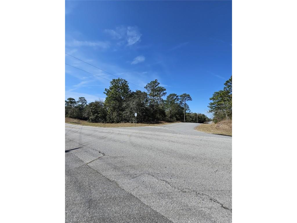 2914 W Naegelia Place Citrus Springs FL 34434 O6281027 image5