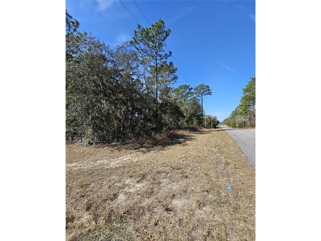 2914 W Naegelia Place Citrus Springs FL 34434 O6281027 image6