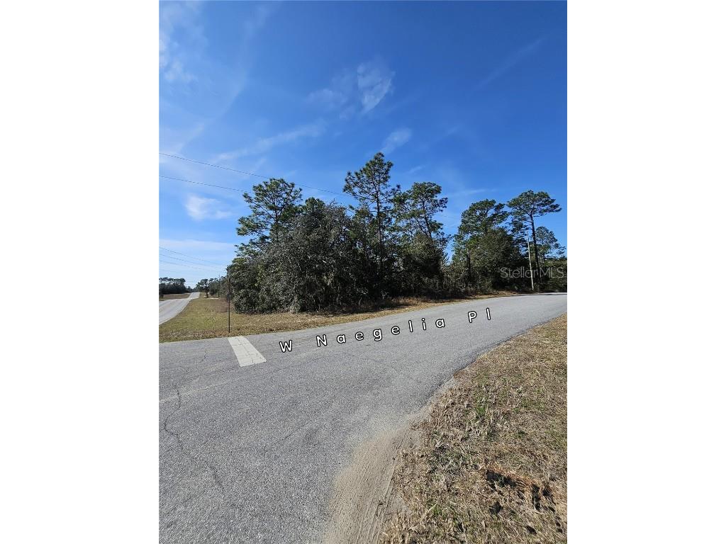 2914 W Naegelia Place Citrus Springs FL 34434 O6281027 image7