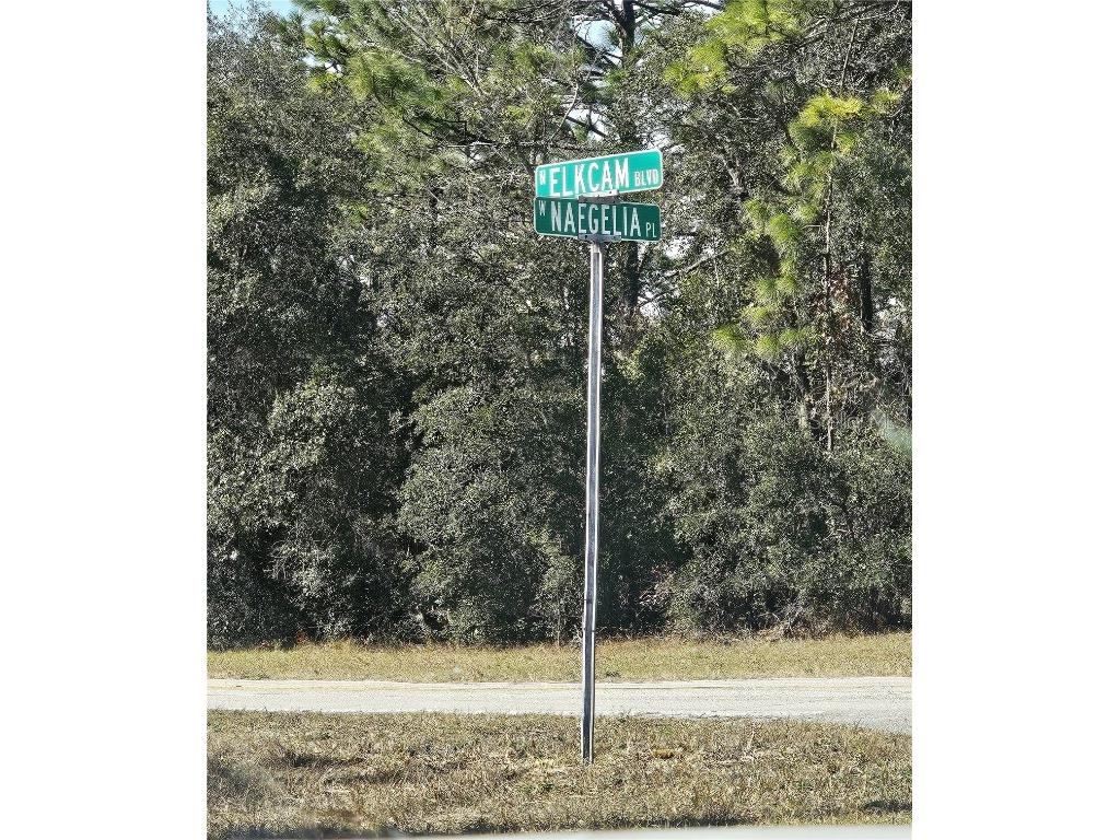 2914 W Naegelia Place Citrus Springs FL 34434 O6281027 image9