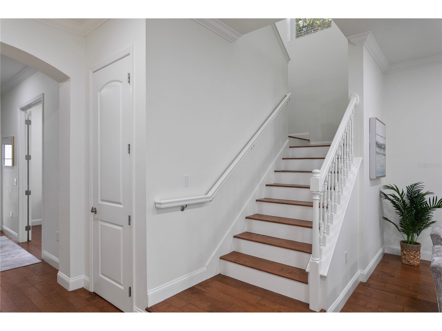 2914 W San Jose Street Tampa FL 33629 TB8463009 image28