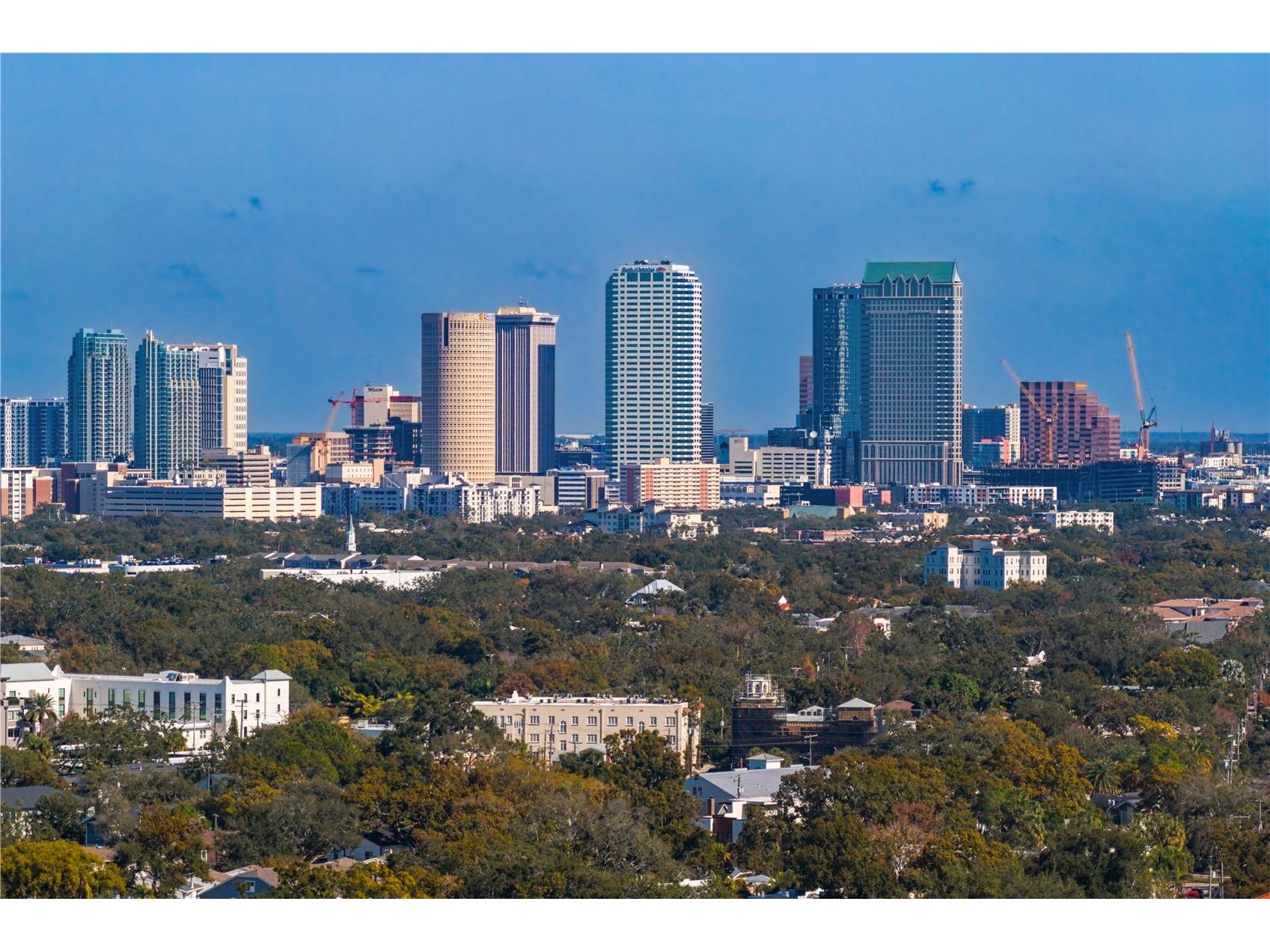 2914 W San Jose Street Tampa FL 33629 TB8463009 image49