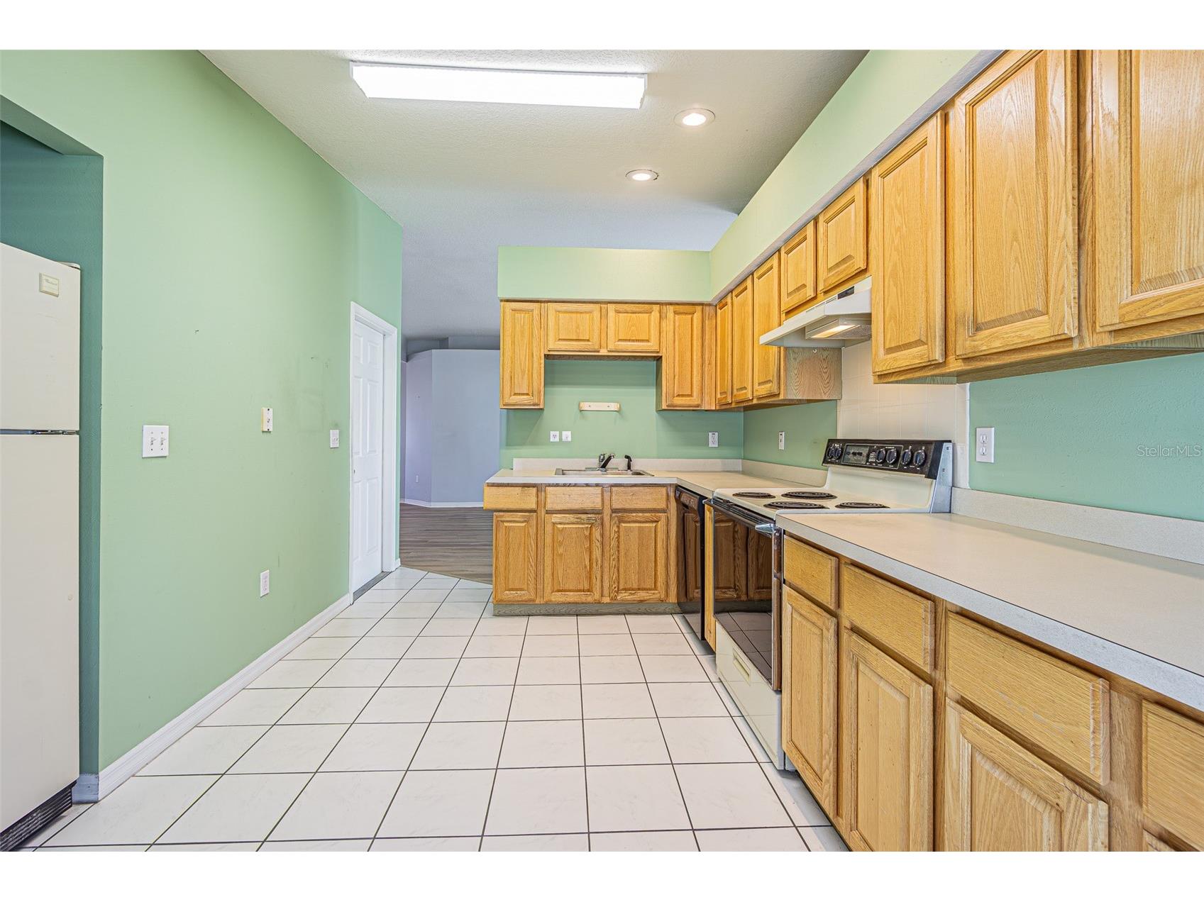 29140 Princeville Drive San Antonio FL 33576 TB8471571 image11
