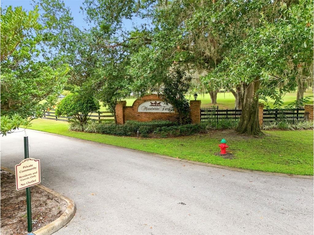 29146 Can Do Lane Tavares FL 32778 G5101893 image11