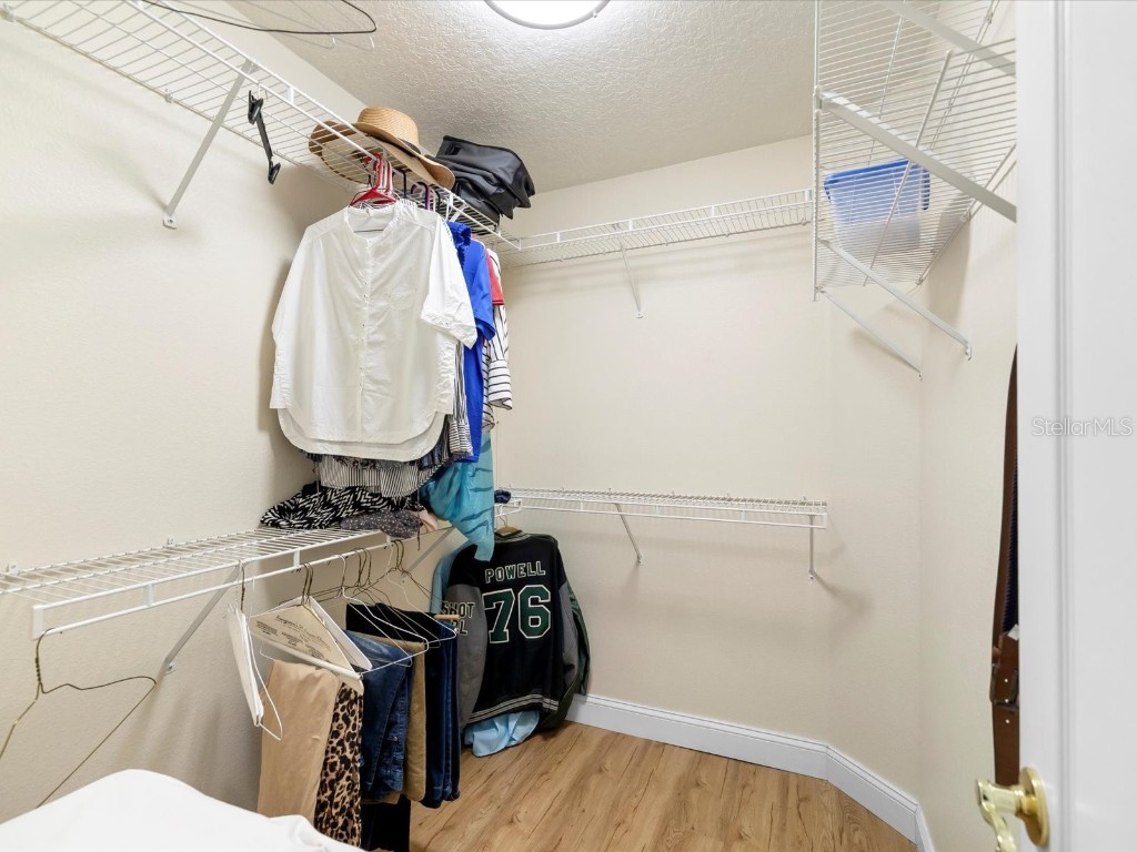 29146 Princeville Drive San Antonio FL 33576 TB8461692 image26