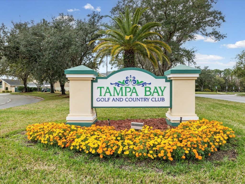 29146 Princeville Drive San Antonio FL 33576 TB8461692 image41