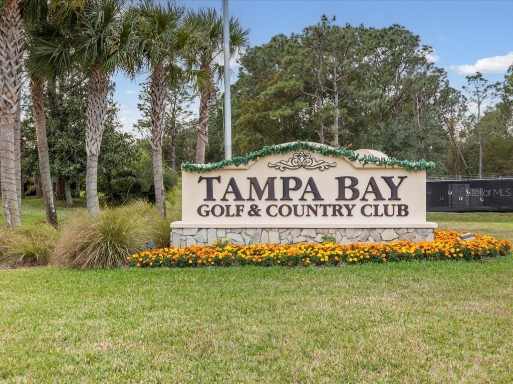 29146 Princeville Drive San Antonio FL 33576 TB8461692 image57