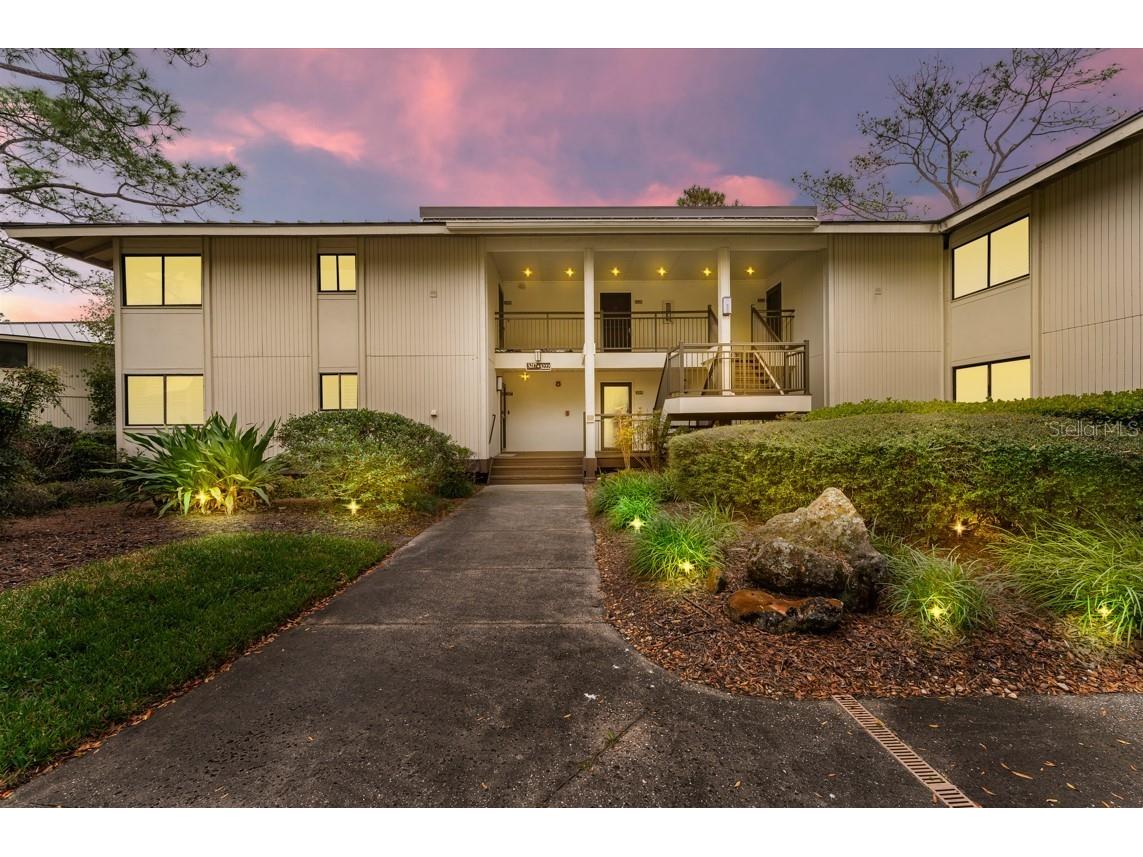29147 Bay Hollow Drive #3219 Wesley Chapel FL 33543 T3505505 image1