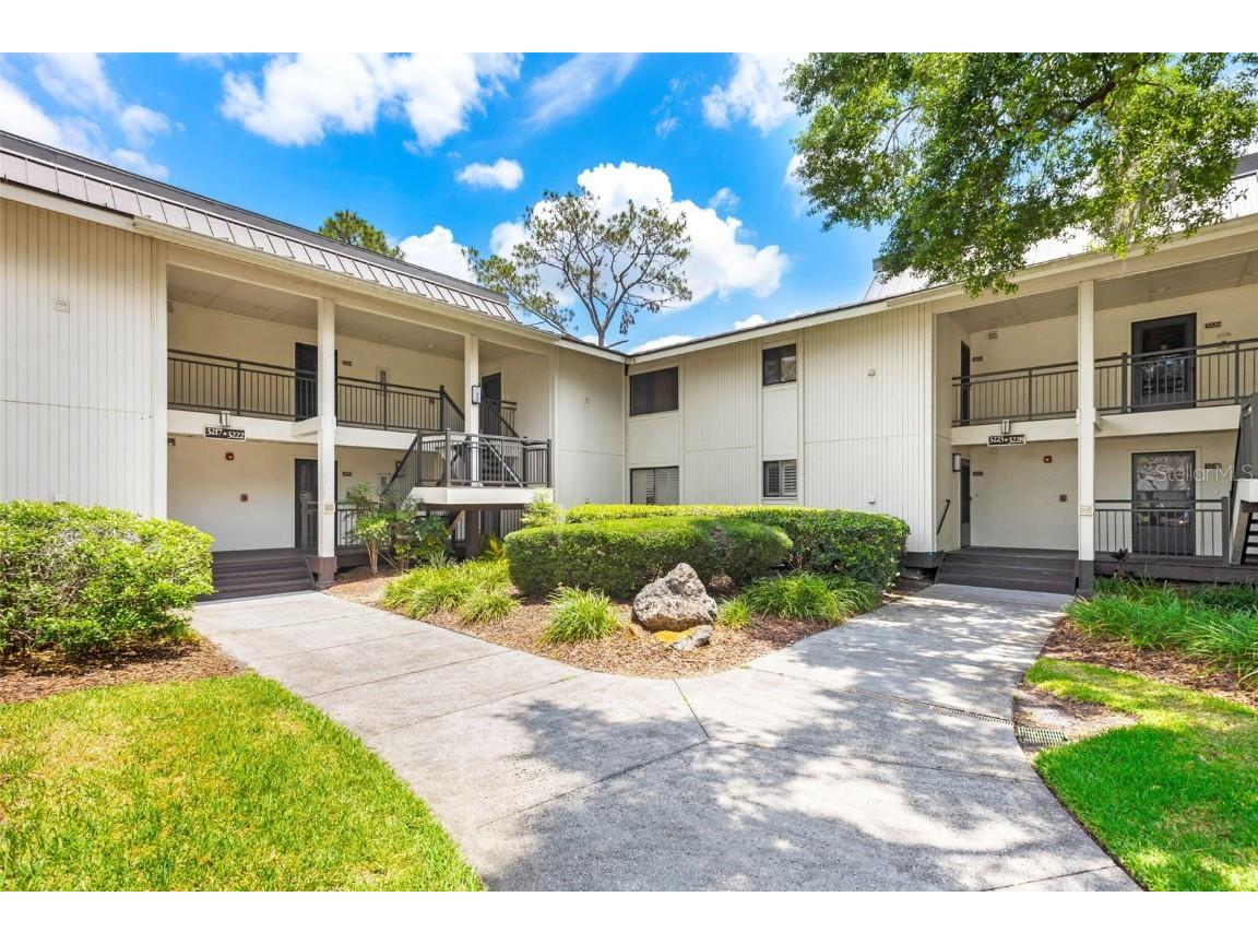29147 Bay Hollow Drive #3222 Wesley Chapel FL 33543 T3448109 image1