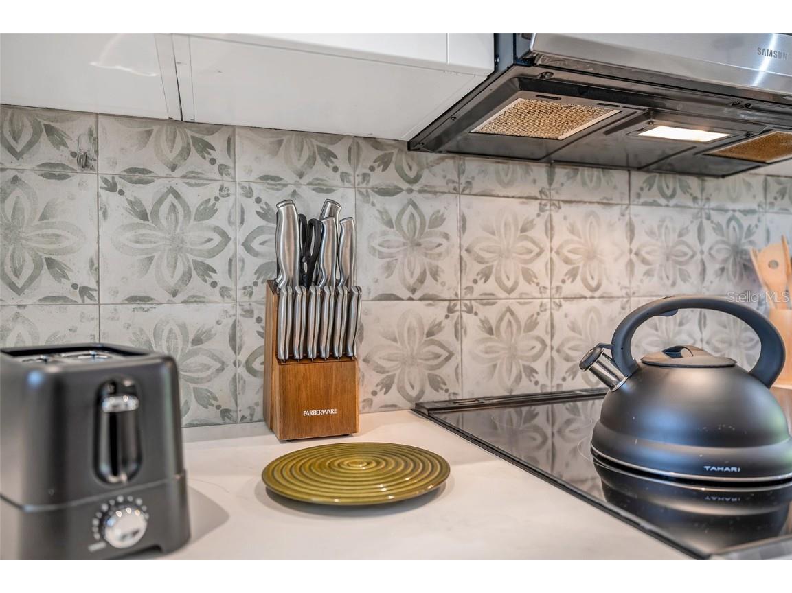 29147 Bay Hollow Drive #3224 Wesley Chapel FL 33543 TB8430935 image16