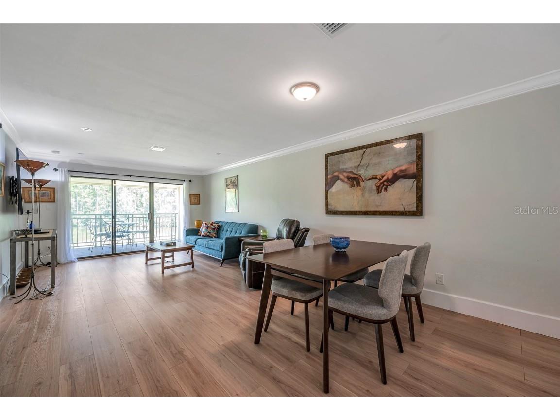 29147 Bay Hollow Drive #3224 Wesley Chapel FL 33543 TB8430935 image21