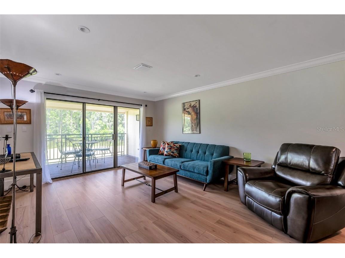 29147 Bay Hollow Drive #3224 Wesley Chapel FL 33543 TB8430935 image23