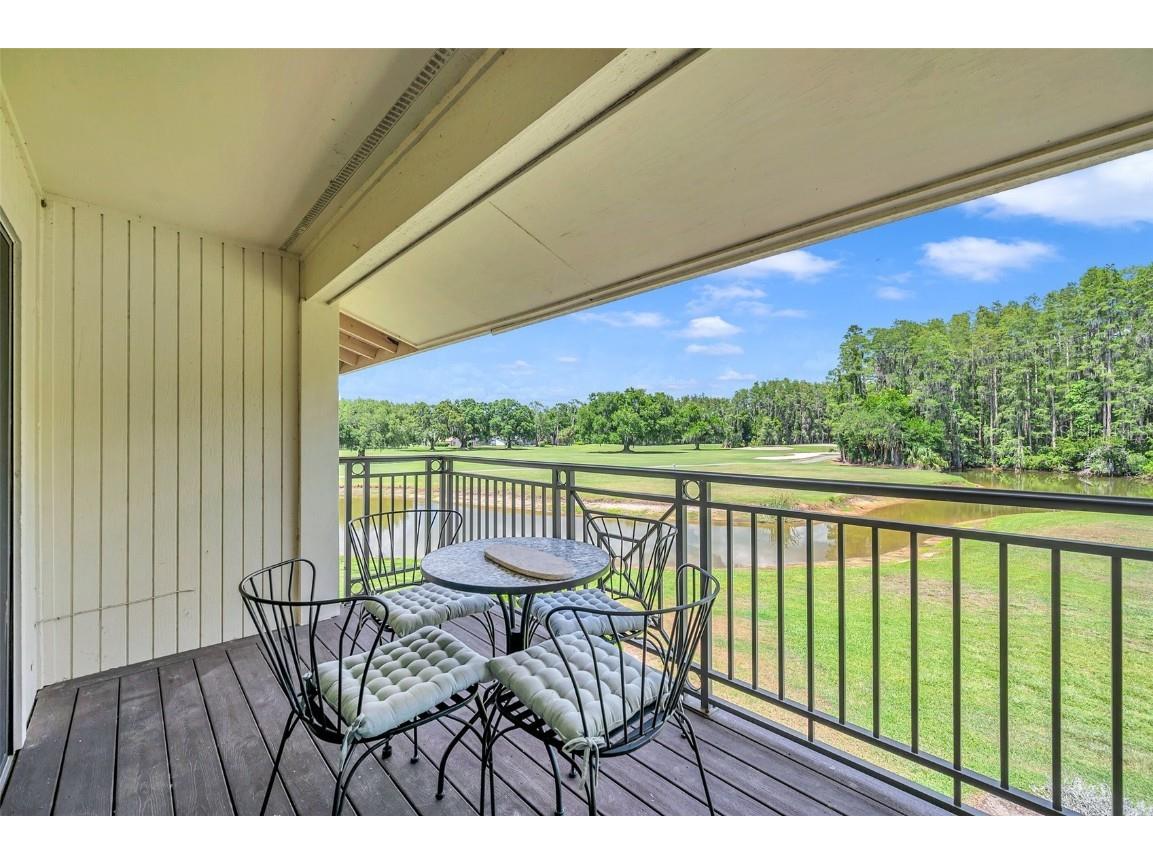 29147 Bay Hollow Drive #3224 Wesley Chapel FL 33543 TB8430935 image26