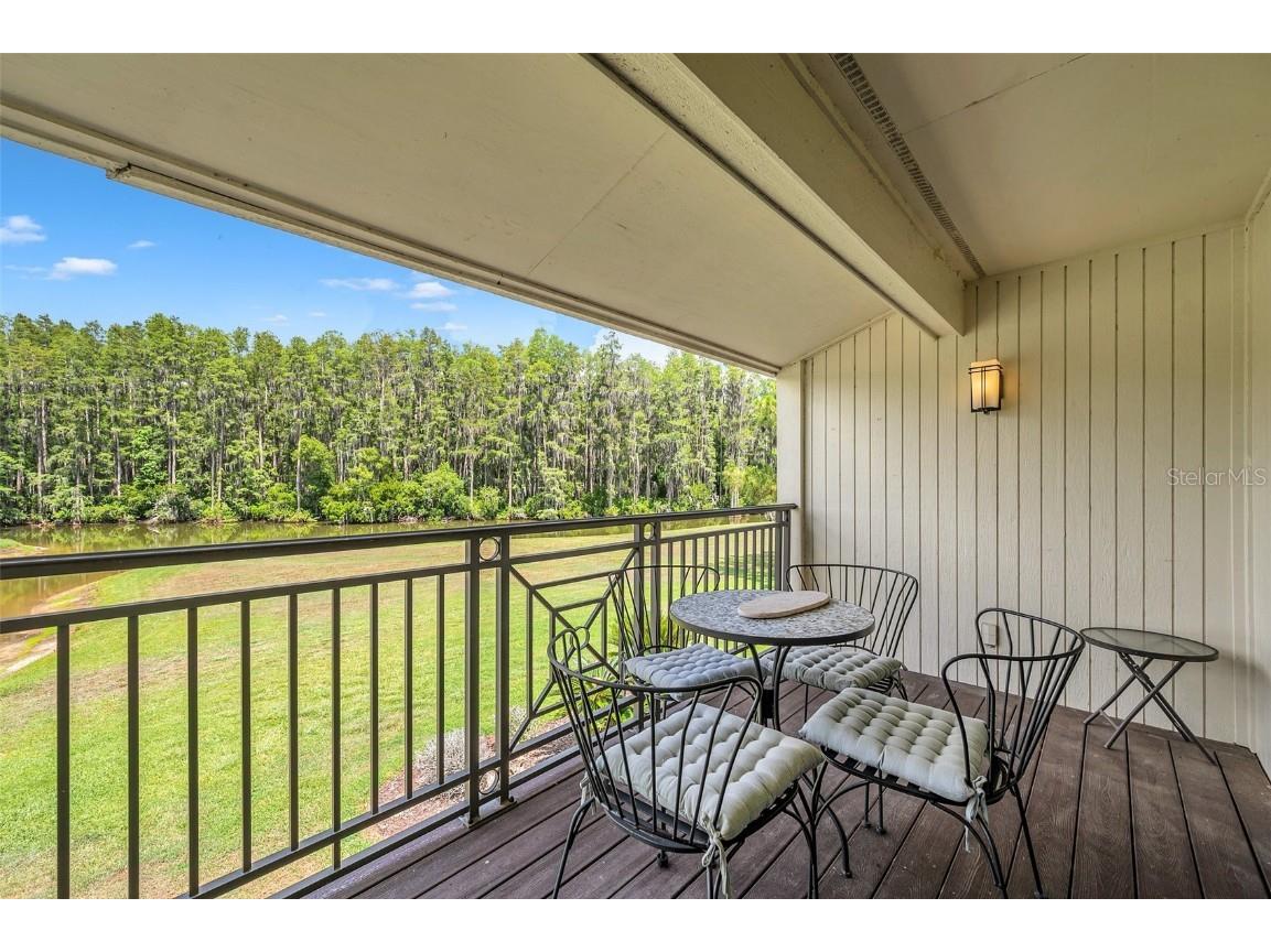 29147 Bay Hollow Drive #3224 Wesley Chapel FL 33543 TB8430935 image28