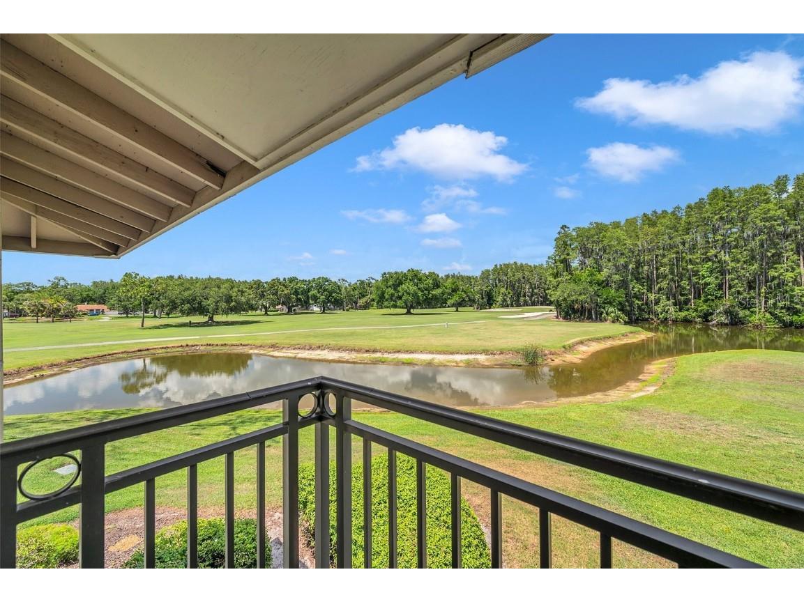 29147 Bay Hollow Drive #3224 Wesley Chapel FL 33543 TB8430935 image29