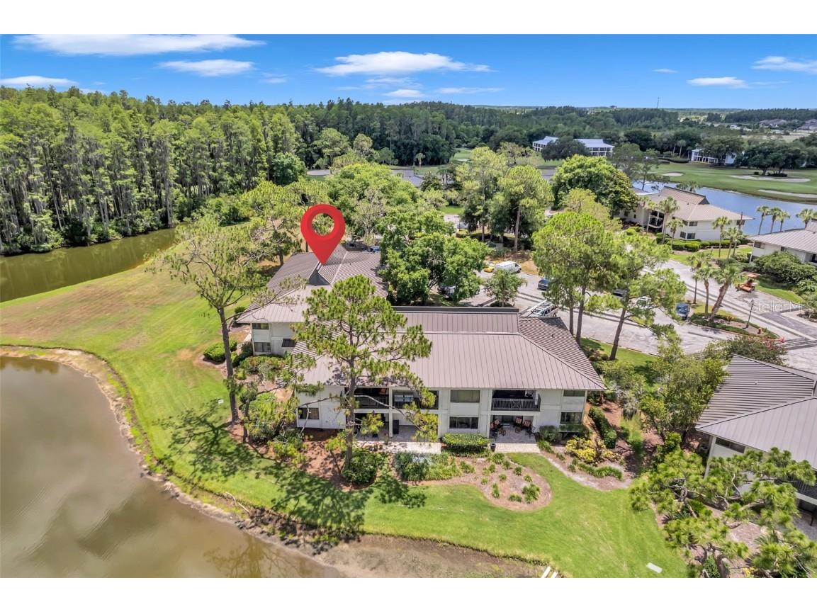 29147 Bay Hollow Drive #3224 Wesley Chapel FL 33543 TB8430935 image3