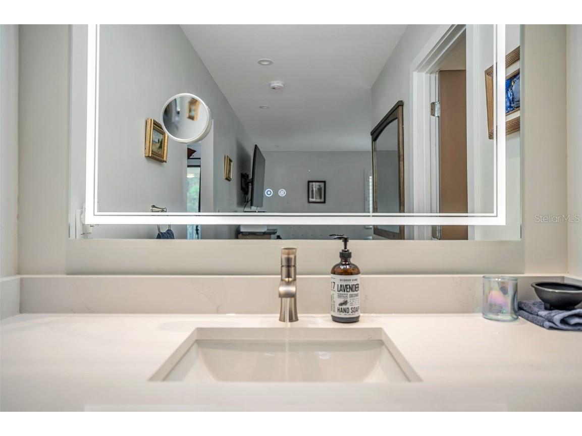 29147 Bay Hollow Drive #3224 Wesley Chapel FL 33543 TB8430935 image38