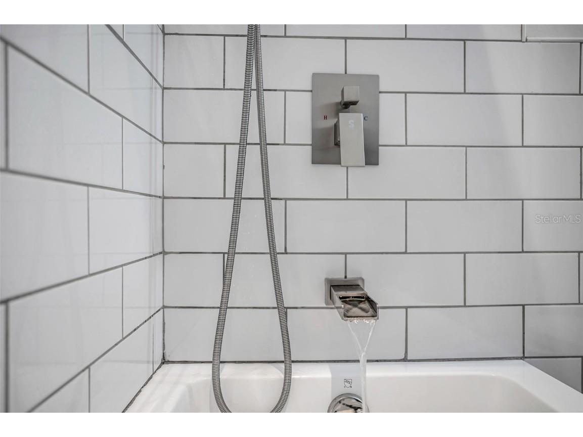 29147 Bay Hollow Drive #3224 Wesley Chapel FL 33543 TB8430935 image47