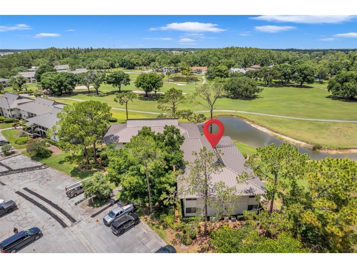 29147 Bay Hollow Drive #3224 Wesley Chapel FL 33543 TB8430935 image5