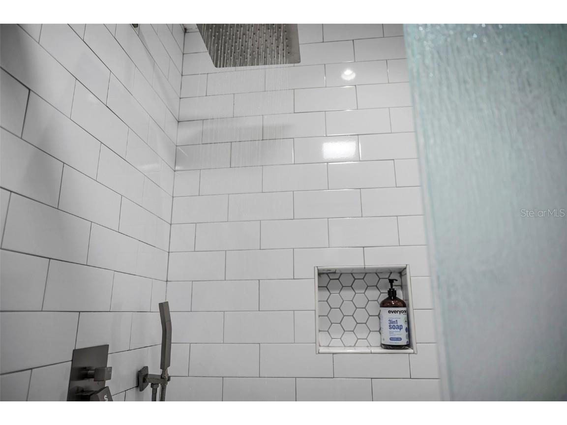 29147 Bay Hollow Drive #3224 Wesley Chapel FL 33543 TB8430935 image50