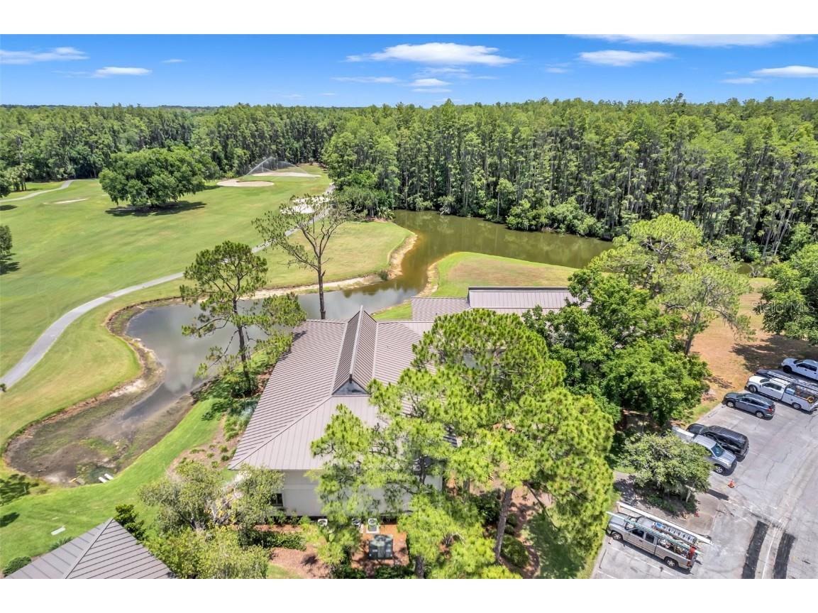 29147 Bay Hollow Drive #3224 Wesley Chapel FL 33543 TB8430935 image59