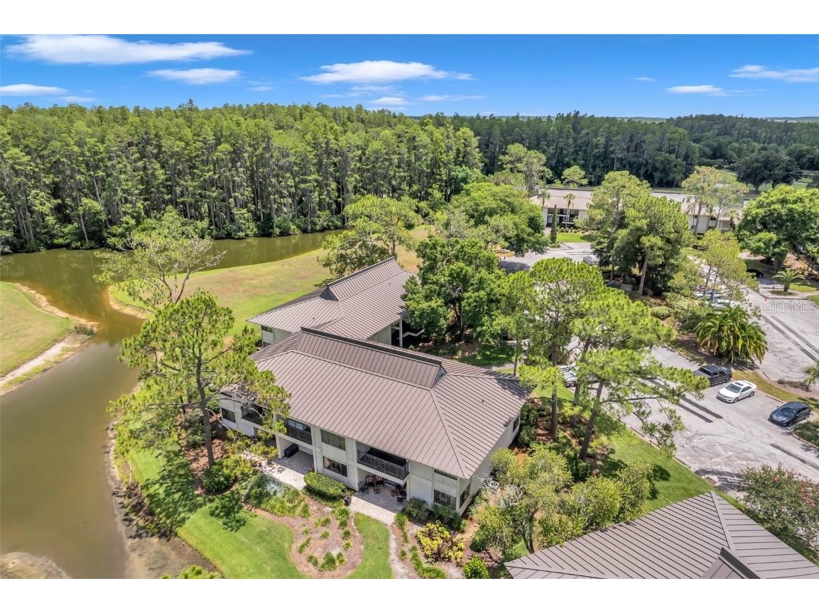 29147 Bay Hollow Drive #3224 Wesley Chapel FL 33543 TB8430935 image60