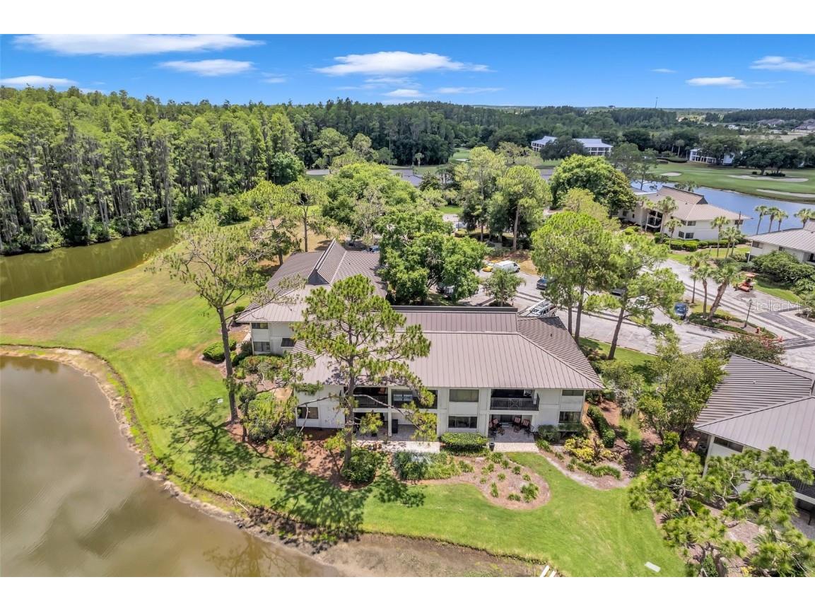 29147 Bay Hollow Drive #3224 Wesley Chapel FL 33543 TB8430935 image61