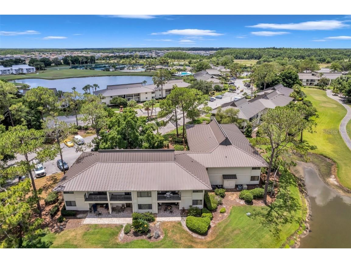 29147 Bay Hollow Drive #3224 Wesley Chapel FL 33543 TB8430935 image63