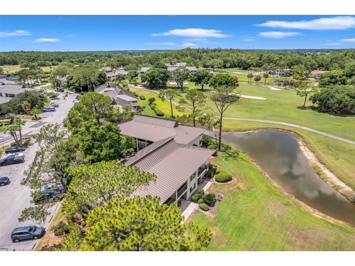 29147 Bay Hollow Drive #3224 Wesley Chapel FL 33543 TB8430935 image64