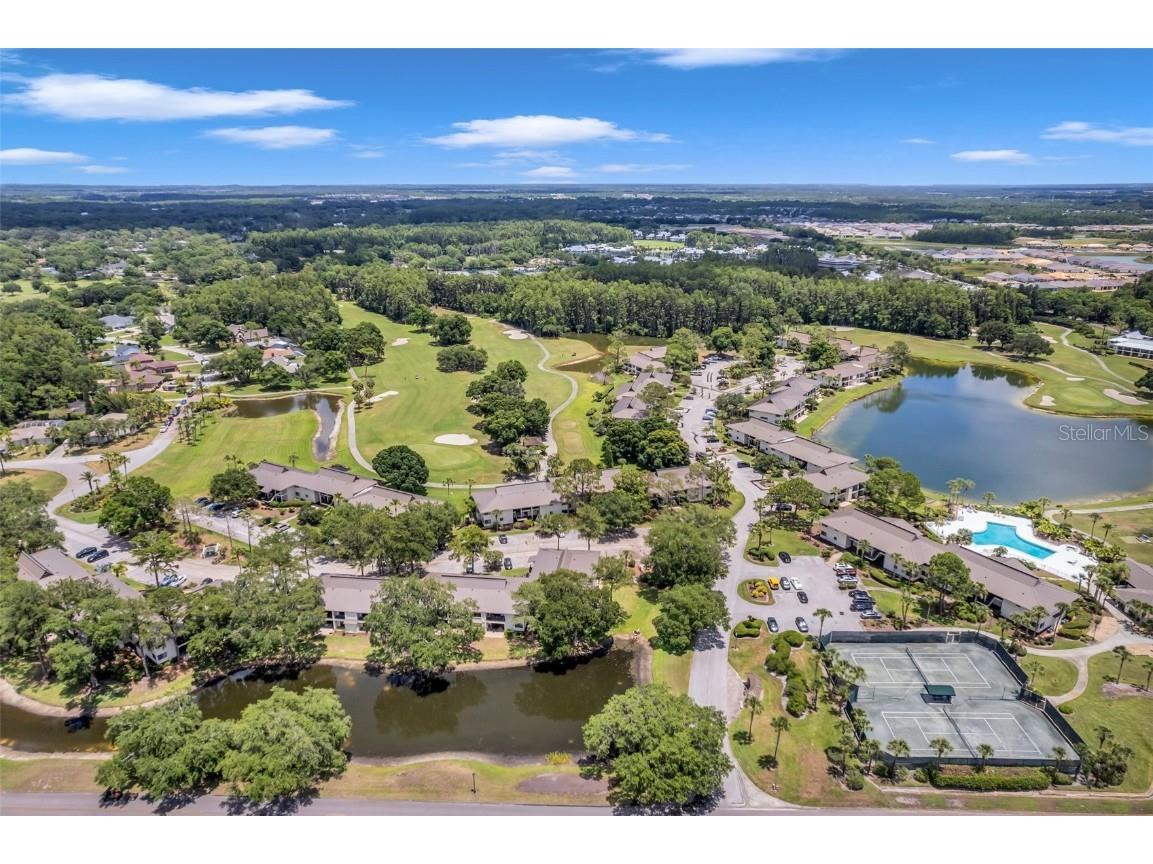 29147 Bay Hollow Drive #3224 Wesley Chapel FL 33543 TB8430935 image68