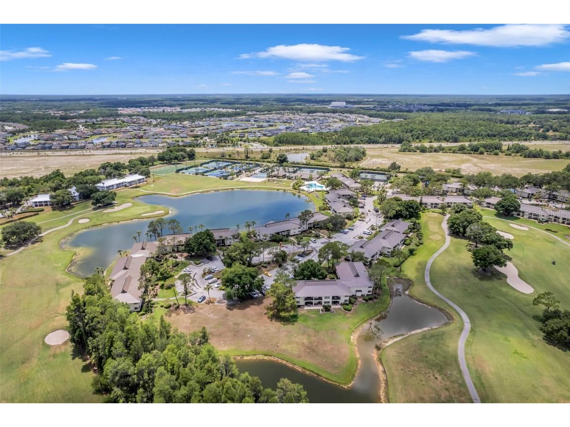 29147 Bay Hollow Drive #3224 Wesley Chapel FL 33543 TB8430935 image72