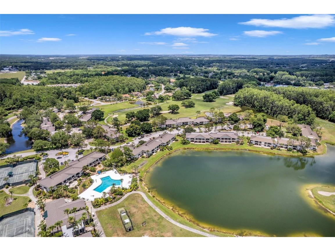 29147 Bay Hollow Drive #3224 Wesley Chapel FL 33543 TB8430935 image74