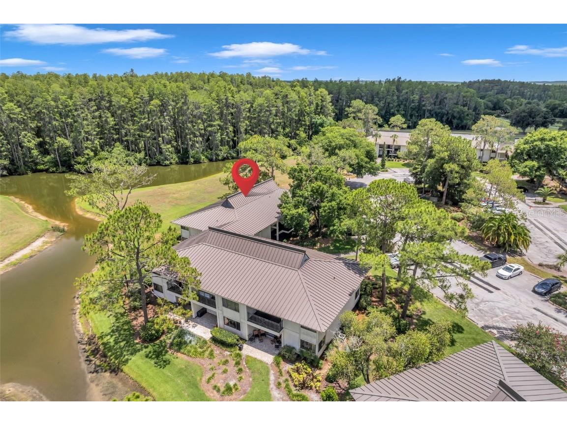 29147 Bay Hollow Drive #3224 Wesley Chapel FL 33543 TB8430935 image75