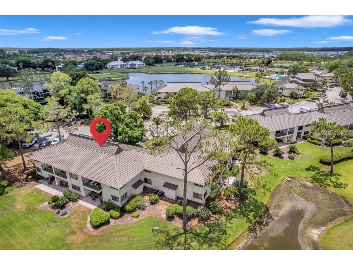 29147 Bay Hollow Drive #3224 Wesley Chapel FL 33543 TB8430935 image76