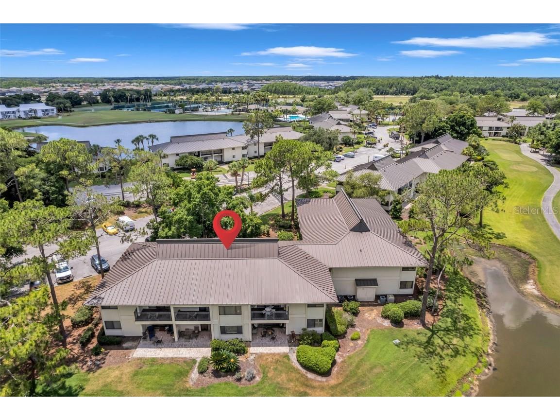 29147 Bay Hollow Drive #3224 Wesley Chapel FL 33543 TB8430935 image77