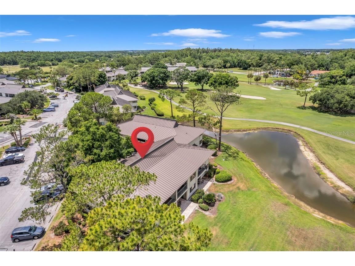 29147 Bay Hollow Drive #3224 Wesley Chapel FL 33543 TB8430935 image78