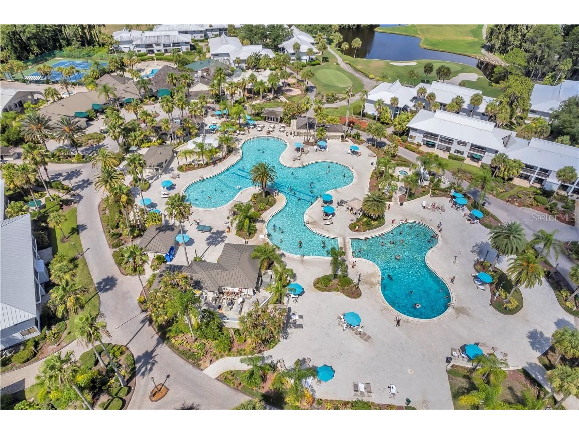 29147 Bay Hollow Drive #3224 Wesley Chapel FL 33543 TB8430935 image86