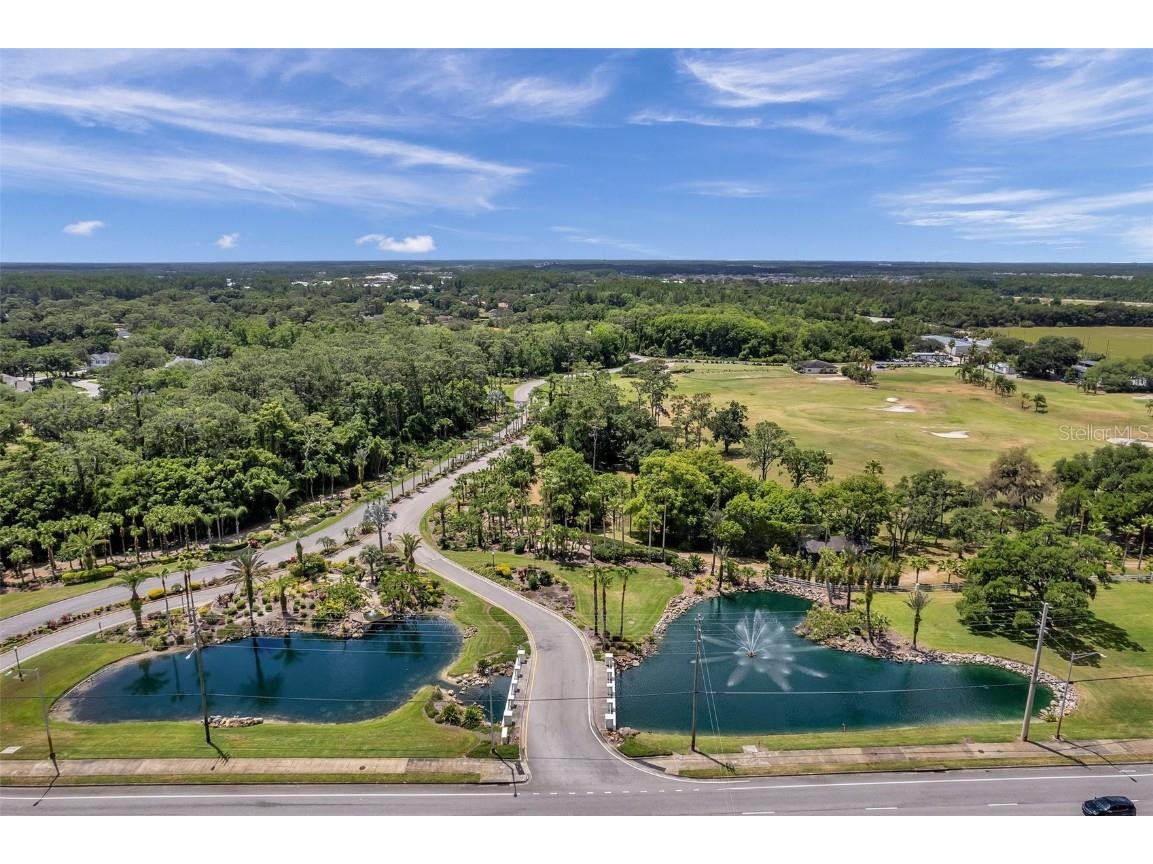 29147 Bay Hollow Drive #3224 Wesley Chapel FL 33543 TB8430935 image89