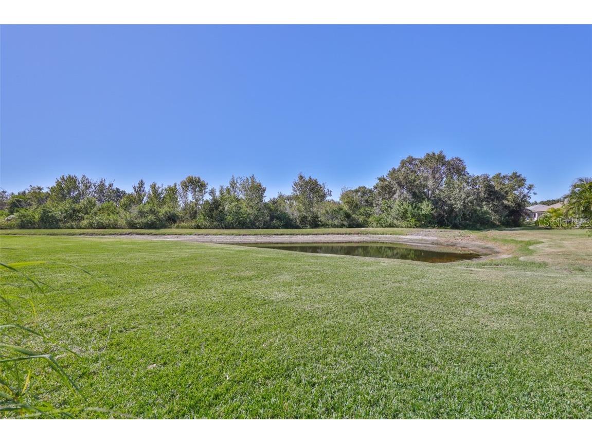 2915 126th Terrace E Parrish FL 34219 TB8448340 image45