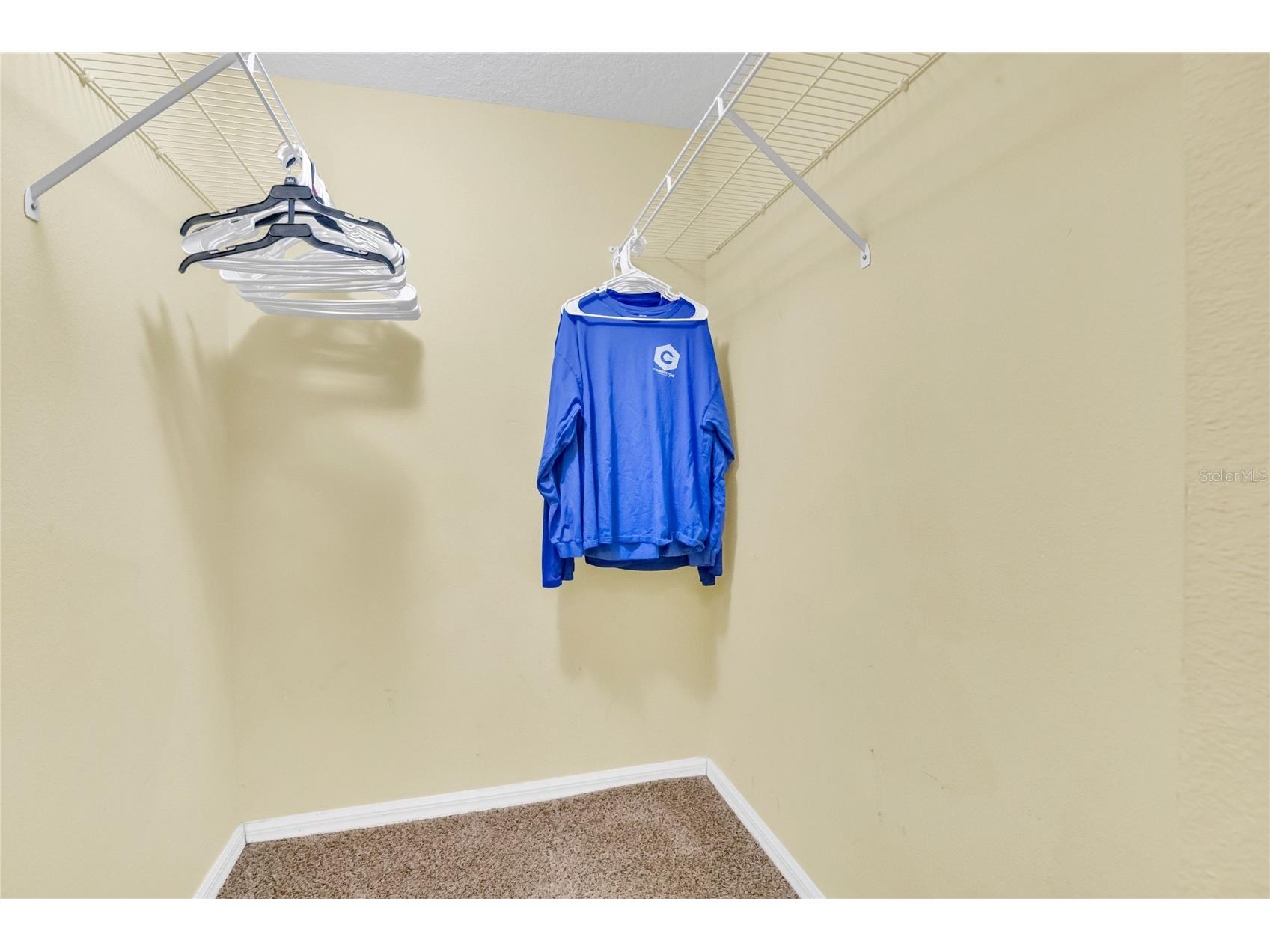 2915 Blooming Alamanda Loop Kissimmee FL 34747 O6367247 image19